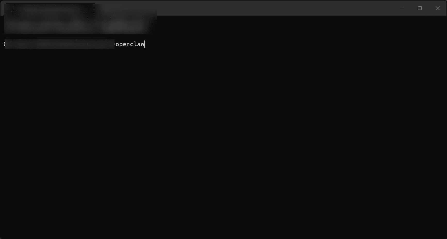 Terminal showing the openclaw command