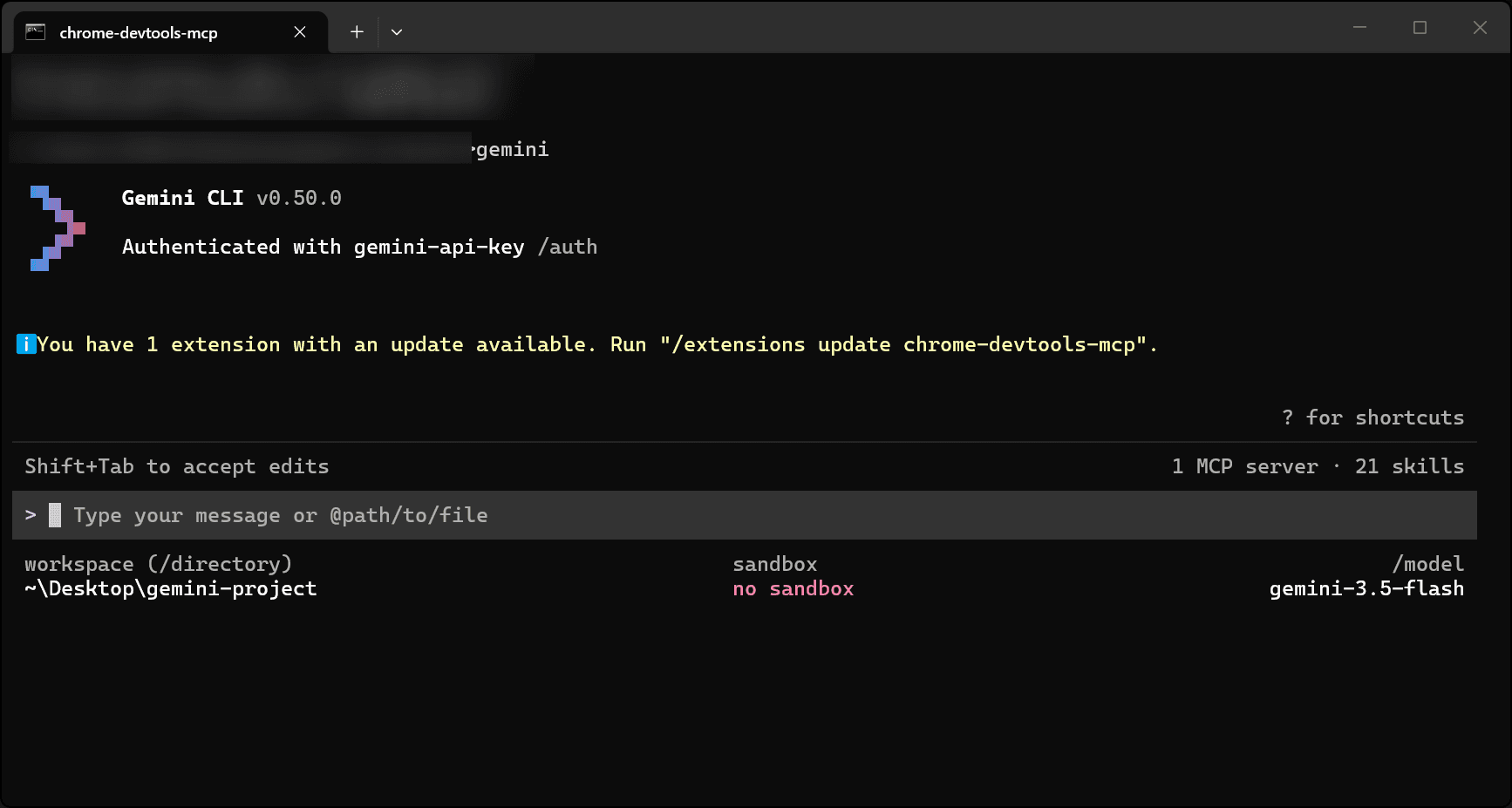 Gemini CLI successfully launched and ready for input