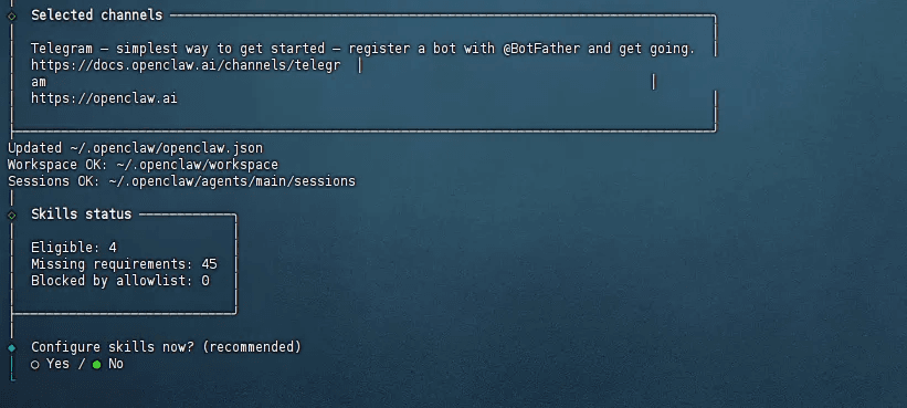 Skills installation -- skip for now